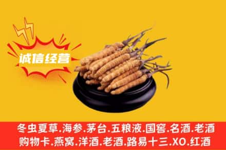 鸡西虎林市回收冬虫夏草